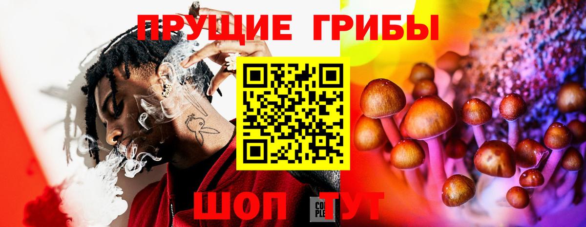 Псилоцибиновые грибы Cubensis Заволжье