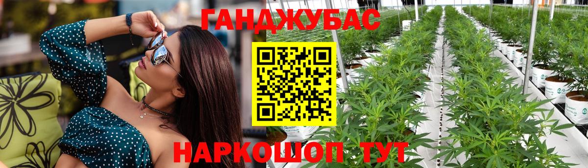 Бошки марихуана White Widow  Канабис марихуана  Вход с VPN  Бошки Шишки SATIVA & INDICA  Заволжье  Шишки марихуана план 